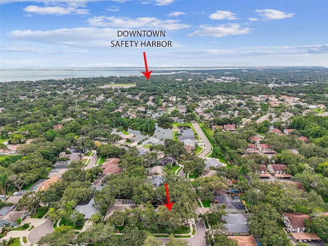 1708 Country Trails Dr, Safety Harbor, FL 34695 - photo 65