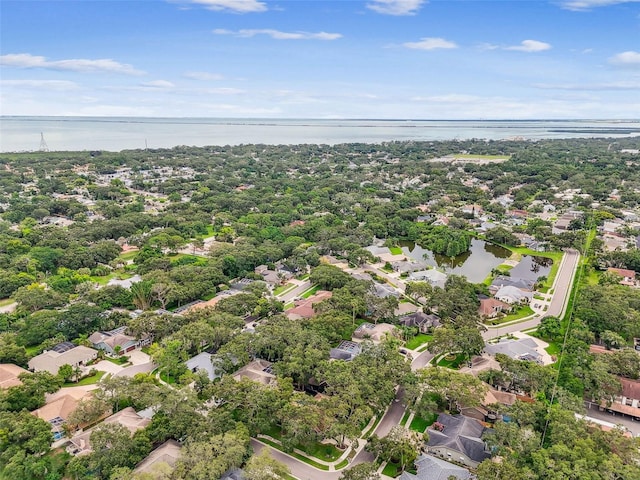 1708 Country Trails Dr, Safety Harbor, FL 34695 - photo 66