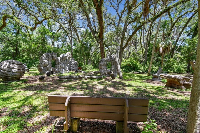 1708 Country Trails Dr, Safety Harbor, FL 34695 - photo 73