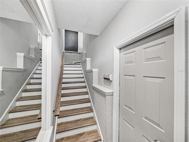 773 Mainsail Dr Unit 773, Tampa, FL 33602 - photo 4