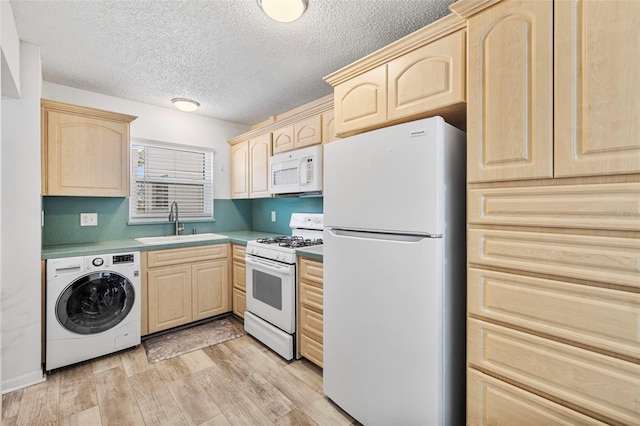 5603 80th St N Unit 202, Saint Petersburg, FL 33709 - photo 5