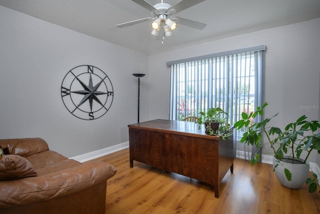 29403 Allegro Dr, Wesley Chapel, FL 33543 - photo 4