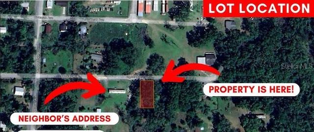 SE Booker St, Madison, FL 32340 - photo 4