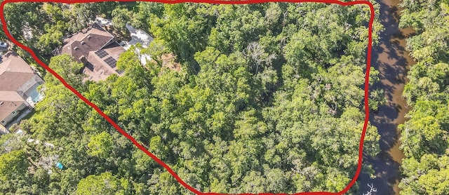 902 River Rapids Ave, Brandon, FL 33511 - photo 29