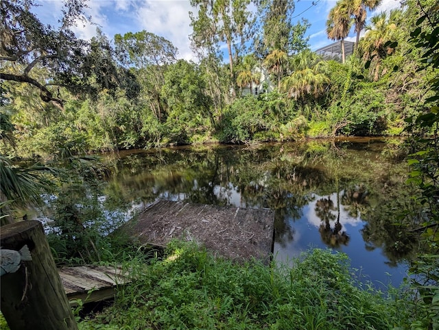 902 River Rapids Ave, Brandon, FL 33511 - photo 28