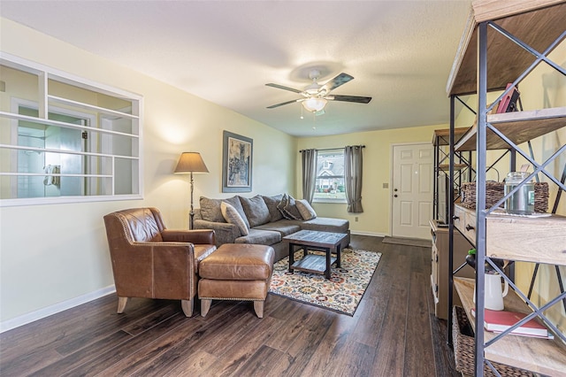 1130 Orange Tree Cir W Unit C, Palm Harbor, FL 34684 - photo 7