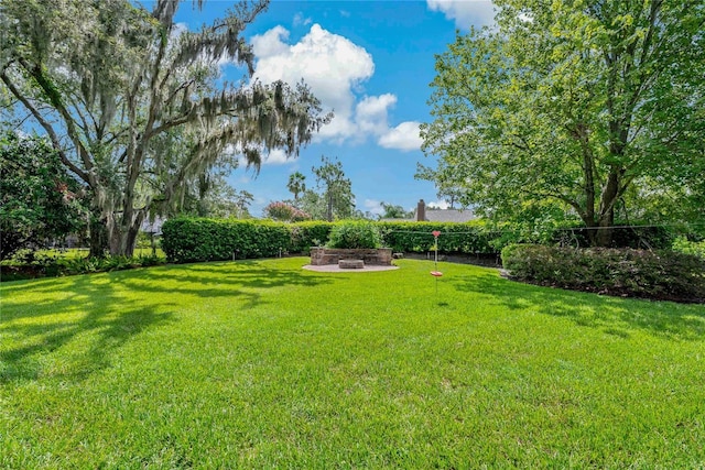 5406 Blue Heron Ln, Wesley Chapel, FL 33543 - photo 40