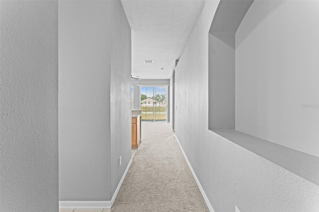 8420 Deer Chase Dr, Riverview, FL 33578 - photo 18