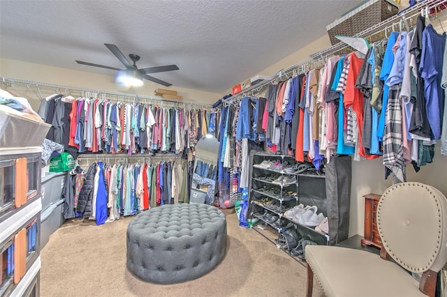 8742 Handel Loop, Land O Lakes, FL 34637 - photo 37