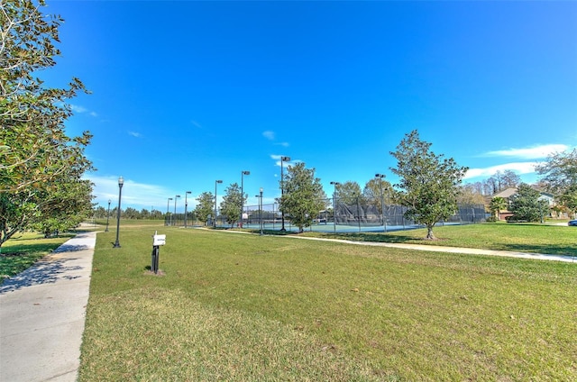 8742 Handel Loop, Land O Lakes, FL 34637 - photo 68