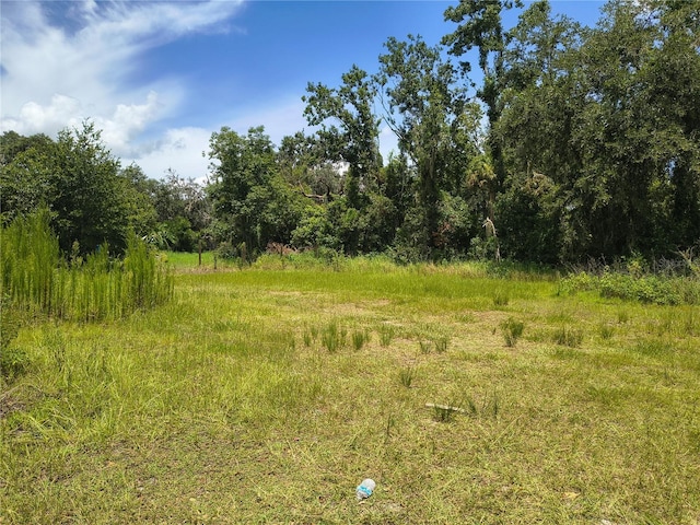 Willie White Ln, Plant City, FL 33567 - photo 1