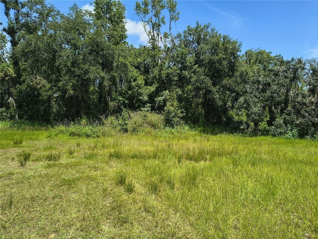 Willie White Ln, Plant City, FL 33567 - photo 2