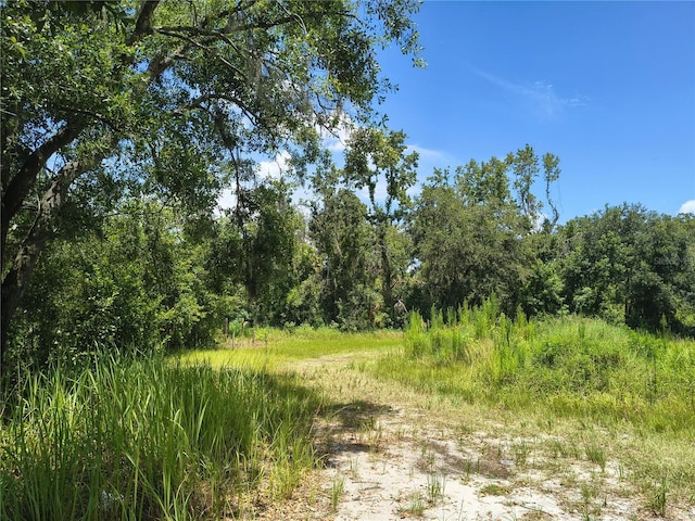 Willie White Ln, Plant City, FL 33567 - photo 3