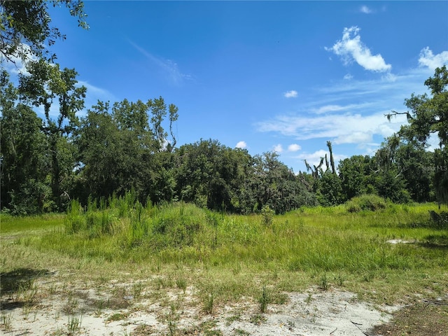 Willie White Ln, Plant City, FL 33567 - photo 4