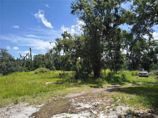 Willie White Ln, Plant City, FL 33567 - photo 6
