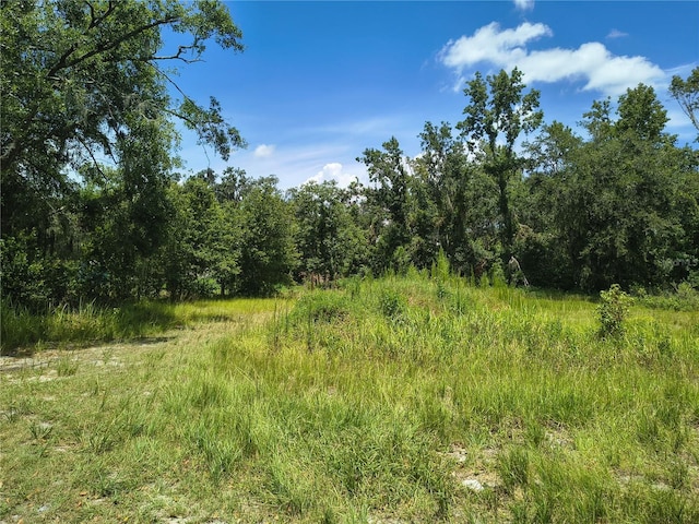 Willie White Ln, Plant City, FL 33567 - photo 7