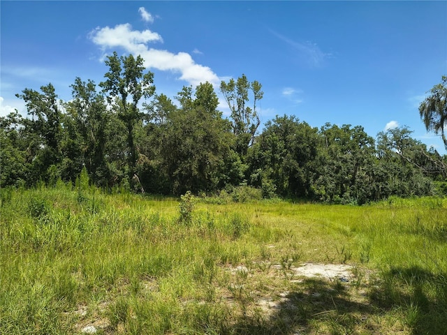 Willie White Ln, Plant City, FL 33567 - photo 8
