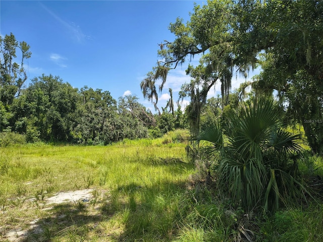 Willie White Ln, Plant City, FL 33567 - photo 9