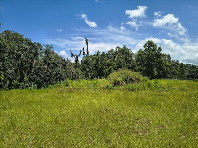 Willie White Ln, Plant City, FL 33567 - photo 10
