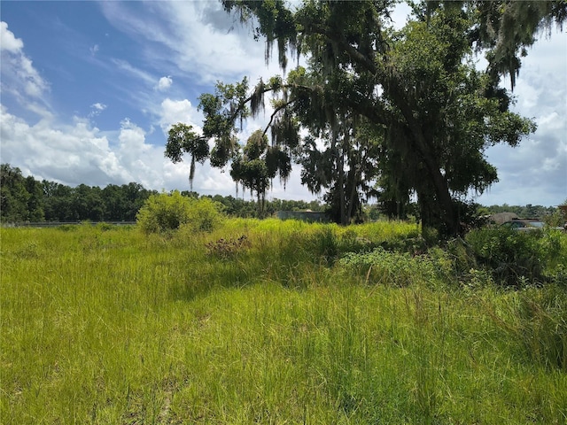 Willie White Ln, Plant City, FL 33567 - photo 11