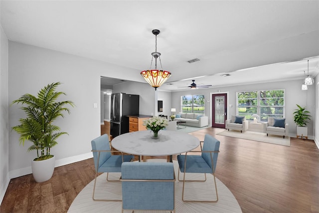 10306 Fore Dr, Tampa, FL 33612 - photo 4