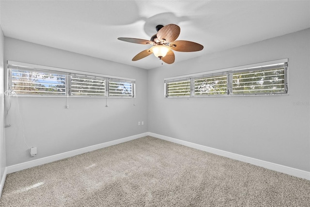 10306 Fore Dr, Tampa, FL 33612 - photo 16
