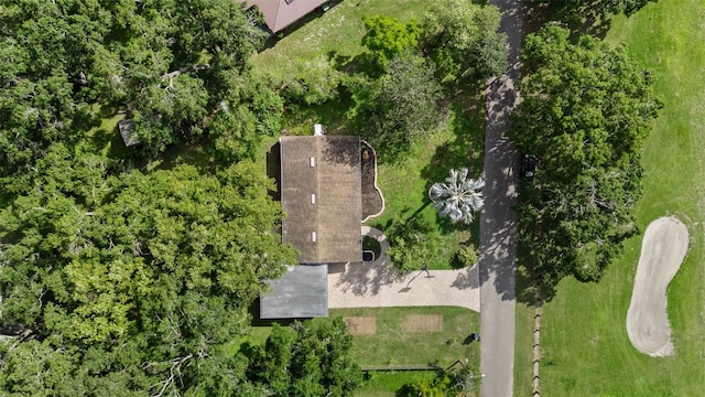 10306 Fore Dr, Tampa, FL 33612 - photo 21
