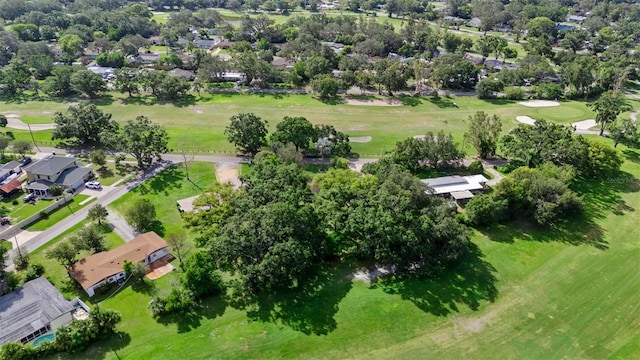 10306 Fore Dr, Tampa, FL 33612 - photo 22