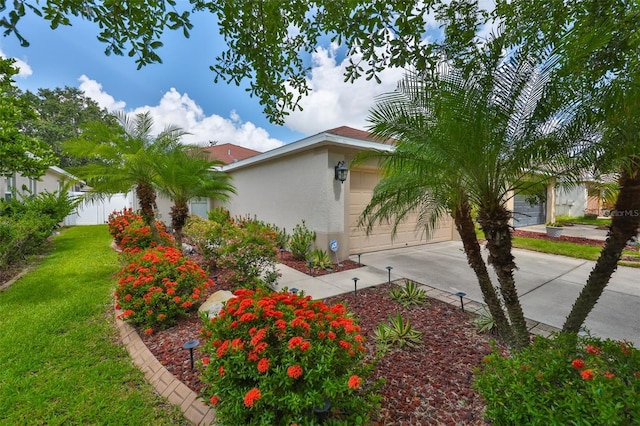 11546 Crestlake Village Dr, Riverview, FL 33569 - photo 3