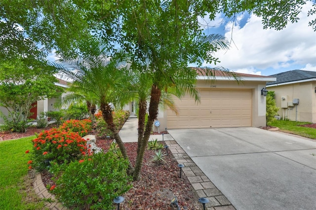 11546 Crestlake Village Dr, Riverview, FL 33569 - photo 4