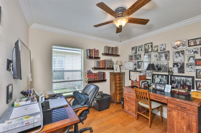 11546 Crestlake Village Dr, Riverview, FL 33569 - photo 26