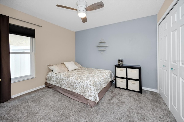 13133 Carrollwood Creek Dr, Tampa, FL 33624 - photo 21