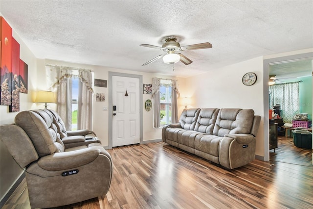4634 Irene Loop, New Port Richey, FL 34652 - photo 12