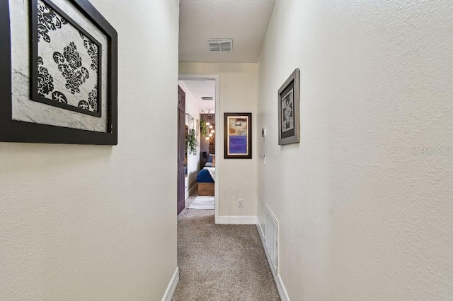20349 Chestnut Grove Dr, Tampa, FL 33647 - photo 35