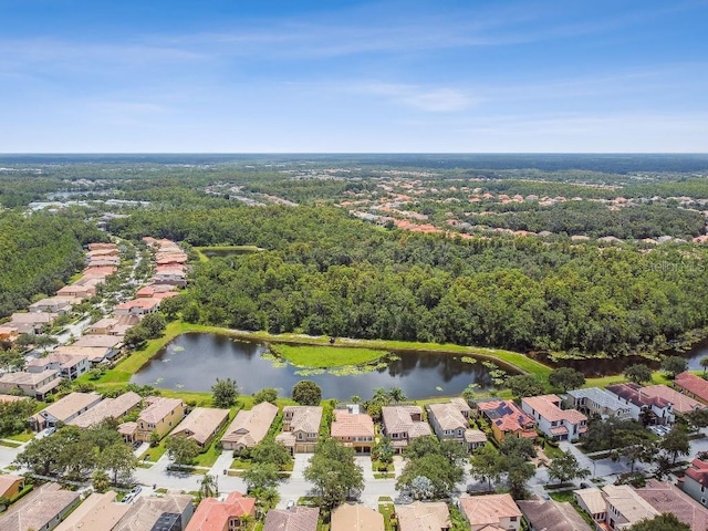 20349 Chestnut Grove Dr, Tampa, FL 33647 - photo 52