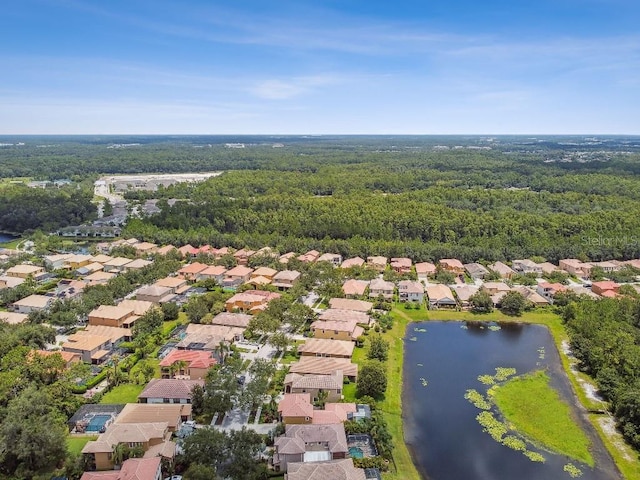 20349 Chestnut Grove Dr, Tampa, FL 33647 - photo 53