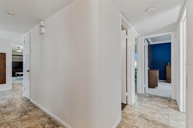 7910 W Pocahontas Ave, Tampa, FL 33615 - photo 25