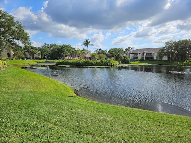 10265 Gandy Blvd N Unit 1113, Saint Petersburg, FL 33702 - photo 10