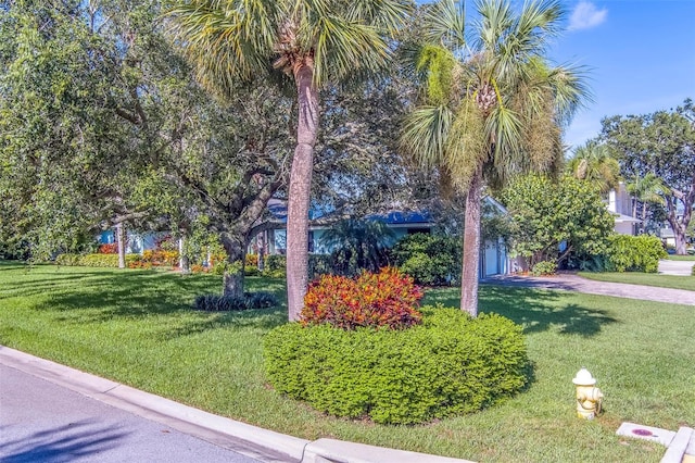 2 Evonaire Cir, Belleair, FL 33756 - photo 59