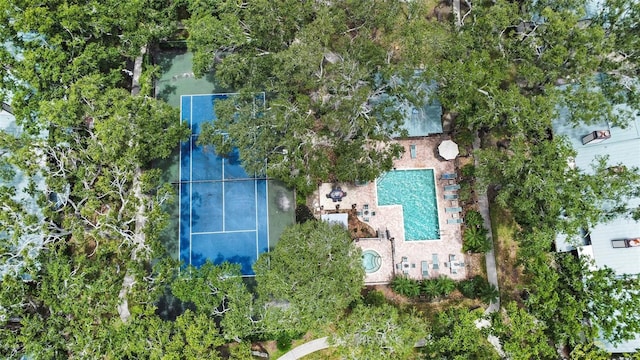 1484 Buckeye Ln, Palm Harbor, FL 34683 - photo 28