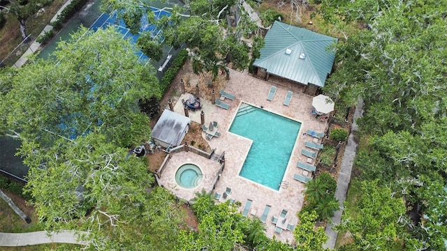 1484 Buckeye Ln, Palm Harbor, FL 34683 - photo 29