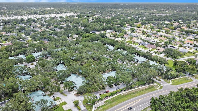 1484 Buckeye Ln, Palm Harbor, FL 34683 - photo 33