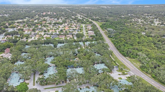 1484 Buckeye Ln, Palm Harbor, FL 34683 - photo 35