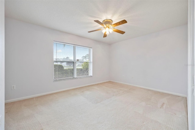 5454 Spectacular Bid Dr, Wesley Chapel, FL 33544 - photo 28