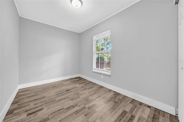 9503 N 10th St, Tampa, FL 33612 - photo 24