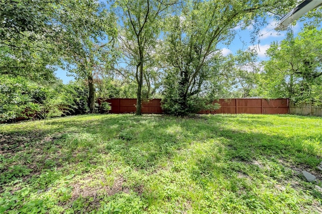 9503 N 10th St, Tampa, FL 33612 - photo 34