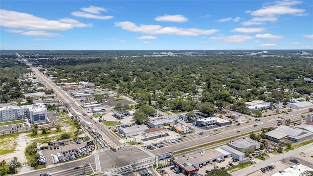 9503 N 10th St, Tampa, FL 33612 - photo 38