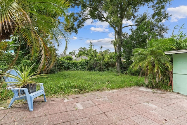 5138 Preston Ave S, Gulfport, FL 33707 - photo 21