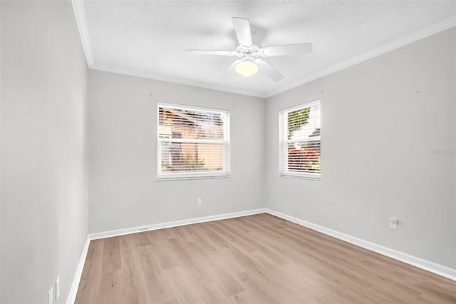 3204 Mcmath Dr, Palm Harbor, FL 34684 - photo 22
