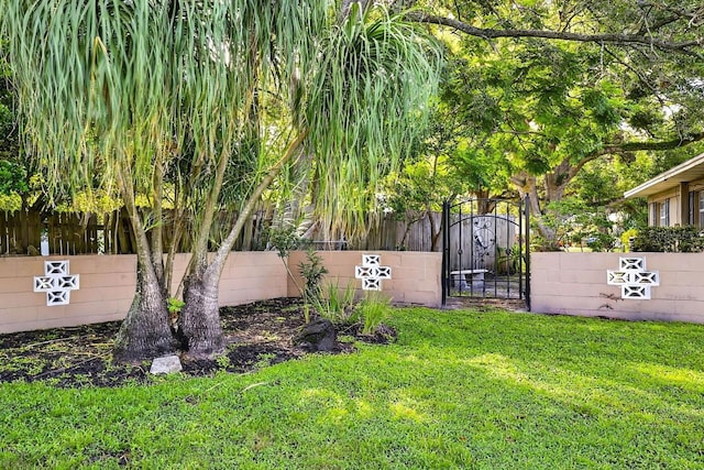 6410 Felice Ave, Tampa, FL 33614 - photo 22